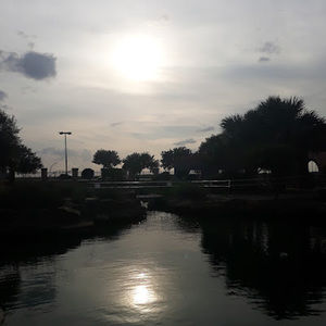 Meet your Posher, Jacky